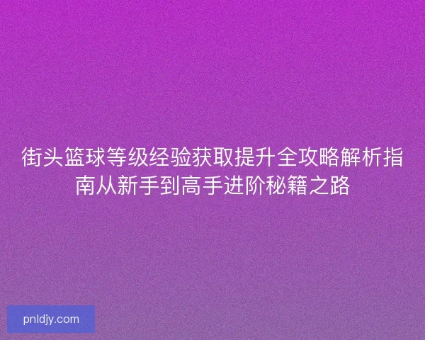 街头篮球等级经验获取提升全攻略解析指南从新手到高手进阶秘籍之路