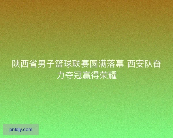 陕西省男子篮球联赛圆满落幕 西安队奋力夺冠赢得荣耀