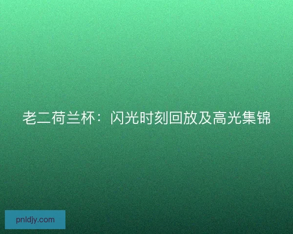 老二荷兰杯：闪光时刻回放及高光集锦