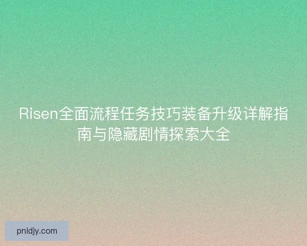 Risen全面流程任务技巧装备升级详解指南与隐藏剧情探索大全
